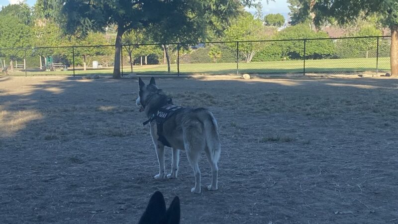 Eastview Park - Rancho Palos Verdes, CA