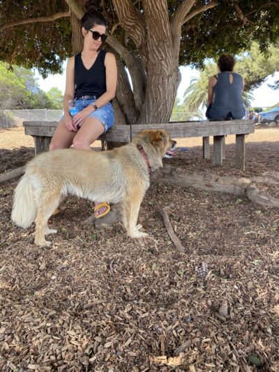 Rancho Caninos Dog Park - Rancho Palos Verdes, CA