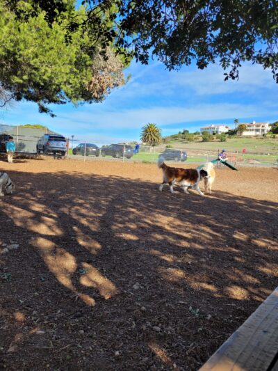 Rancho Caninos Dog Park - Rancho Palos Verdes, CA