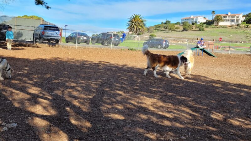 Rancho Caninos Dog Park - Rancho Palos Verdes, CA