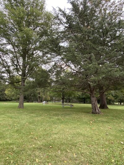 Twin Bridges Park - Randalia, IA