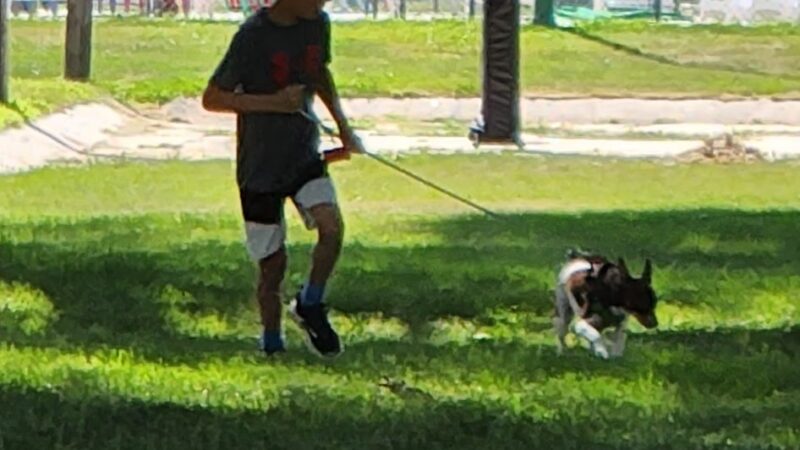 Randolph Area Veterans Memorial Park - Randolph, NE