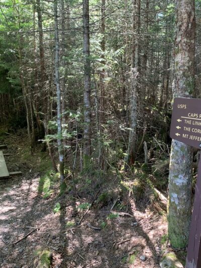 Caps Ridge Trail Head Parking - Randolph, NH