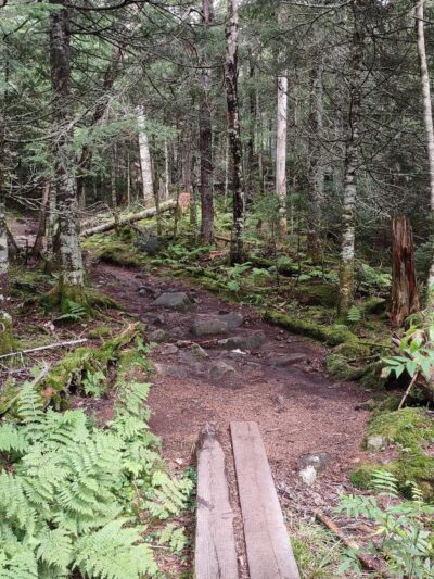 Caps Ridge Trail Head Parking - Randolph, NH
