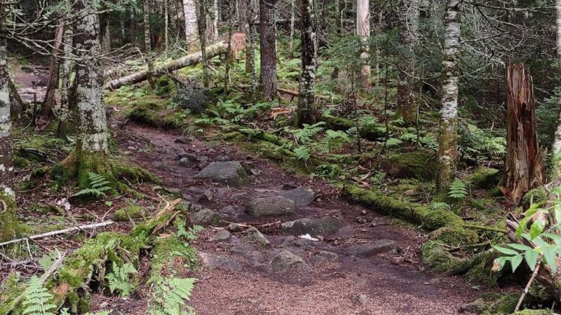 Caps Ridge Trail Head Parking - Randolph, NH