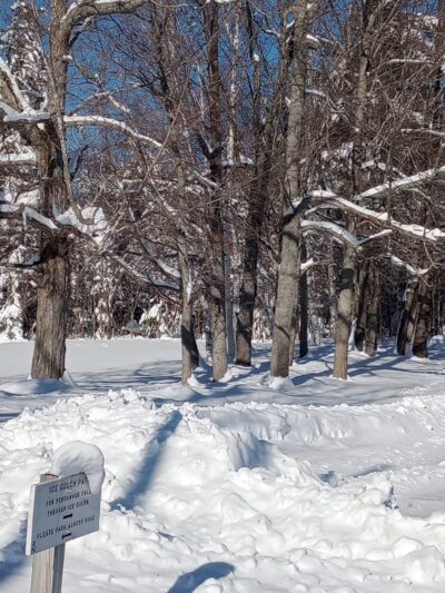 Ice Gulch Path Trailhead - Randolph, NH