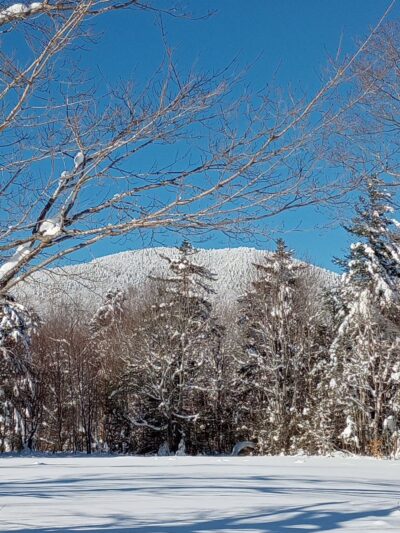 Ice Gulch Path Trailhead - Randolph, NH