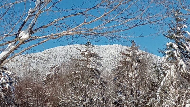 Ice Gulch Path Trailhead - Randolph, NH