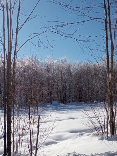 Mount Crescent Trailhead - Randolph, NH
