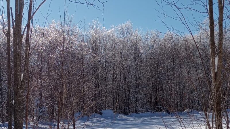 Mount Crescent Trailhead - Randolph, NH