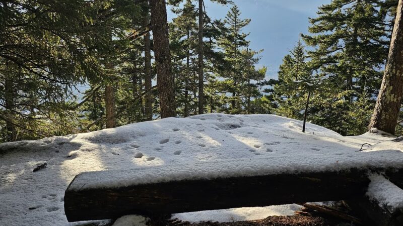 Mount Crescent Trailhead - Randolph, NH