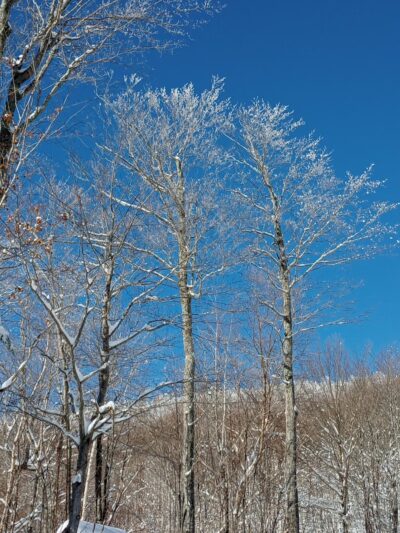 Mount Crescent Trailhead - Randolph, NH