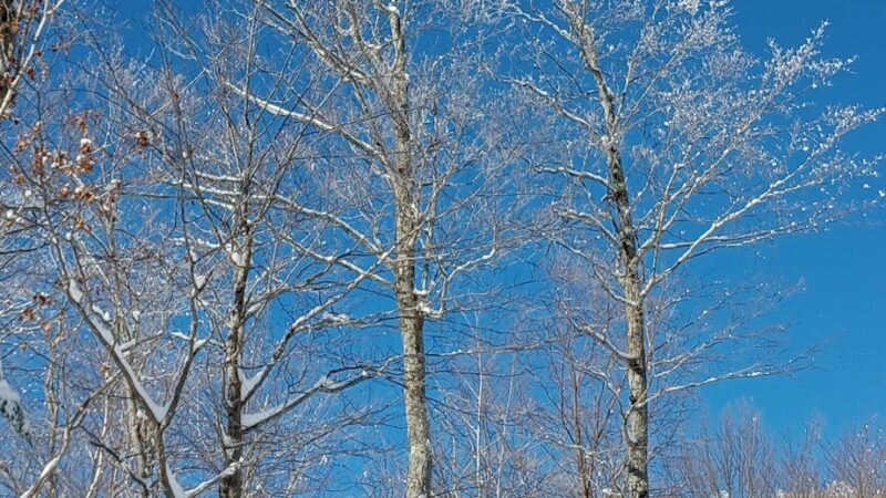 Mount Crescent Trailhead - Randolph, NH