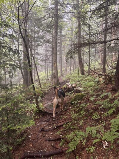 Pine Mountain Trailhead - Randolph, NH