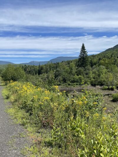 Presidential Range Rail Trail - Randolph, NH