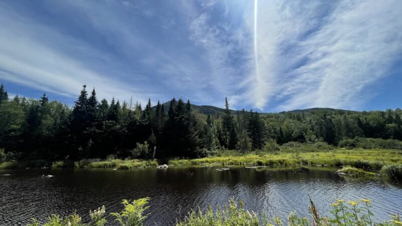 Presidential Range Rail Trail - Randolph, NH