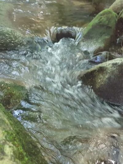 Randolph East Trailhead - Randolph, NH