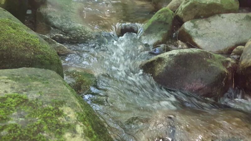 Randolph East Trailhead - Randolph, NH