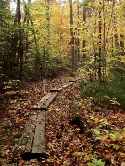 Randolph East Trailhead - Randolph, NH
