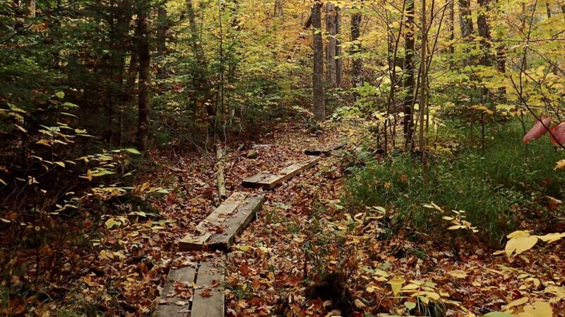 Randolph East Trailhead - Randolph, NH