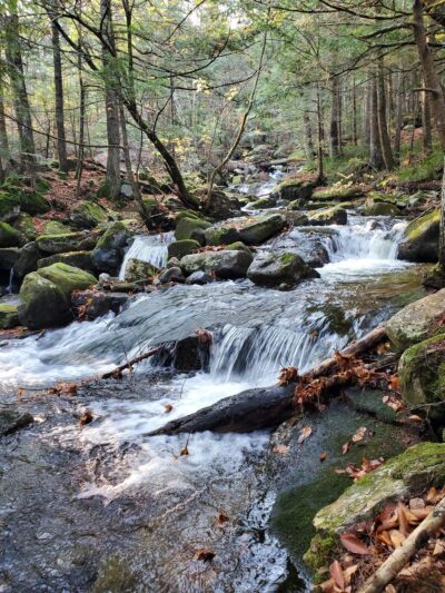Randolph East Trailhead - Randolph, NH