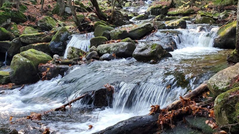 Randolph East Trailhead - Randolph, NH