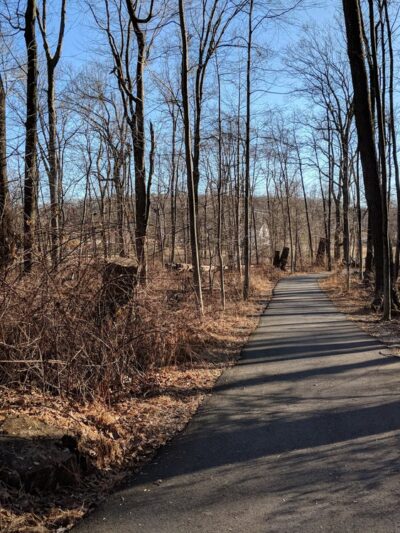 Cohn Farm - Randolph, NJ