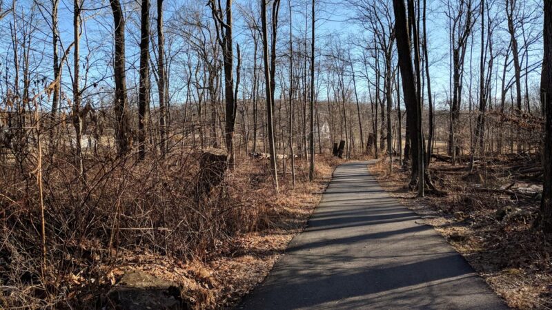 Cohn Farm - Randolph, NJ