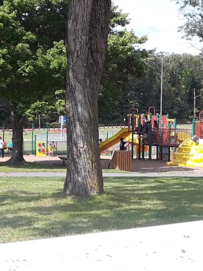 Cohn Farm - Randolph, NJ