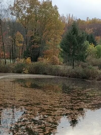 Hedden Park - Randolph, NJ