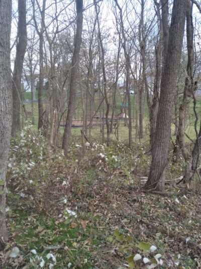 Briar Run Park - Ranson, WV