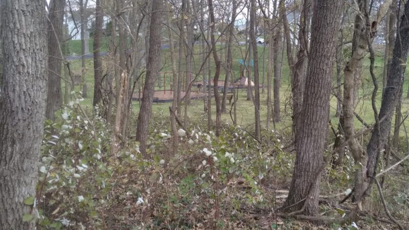 Briar Run Park - Ranson, WV