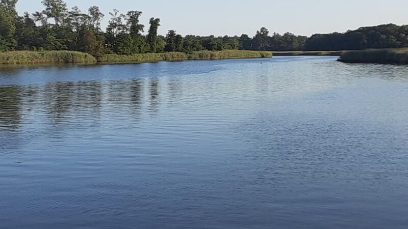 Swimming River Park - Red Bank, NJ