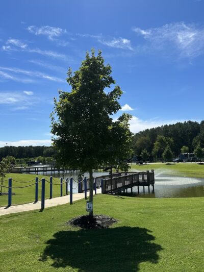 Red Bay Acres - Red Bay, AL