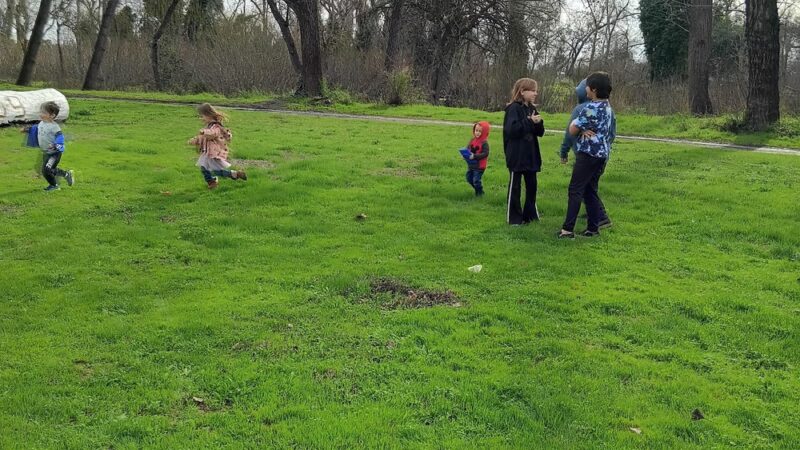 Dog Island Park - Red Bluff, CA