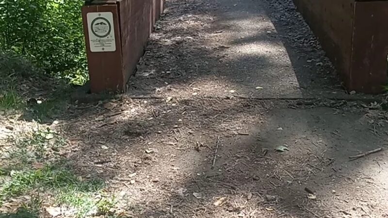 Dog Island Park - Red Bluff, CA