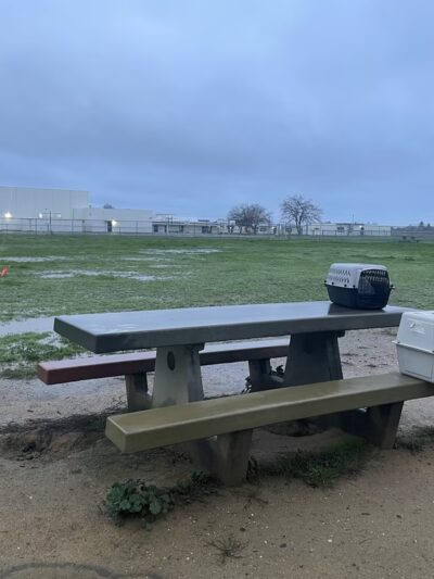 Sher wintle memorial dog park - Red Bluff, CA