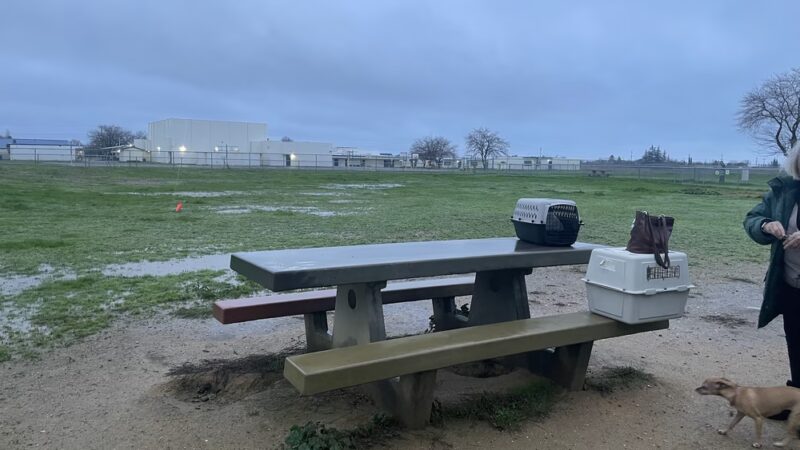 Sher wintle memorial dog park - Red Bluff, CA