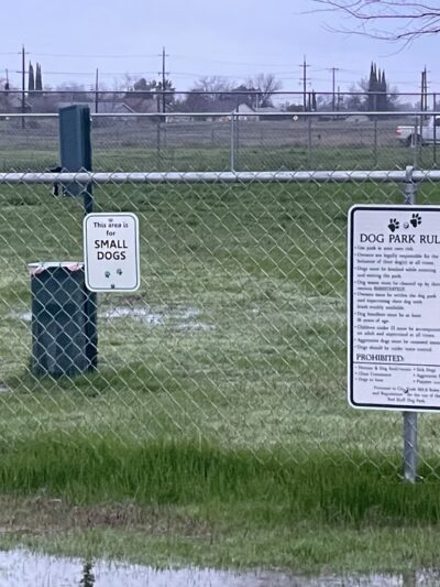 Sher wintle memorial dog park - Red Bluff, CA