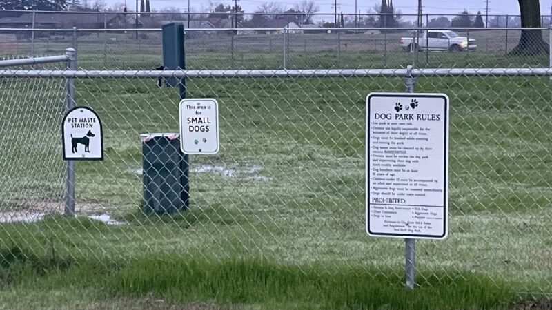 Sher wintle memorial dog park - Red Bluff, CA