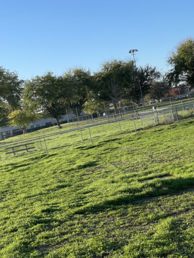 Sher wintle memorial dog park - Red Bluff, CA