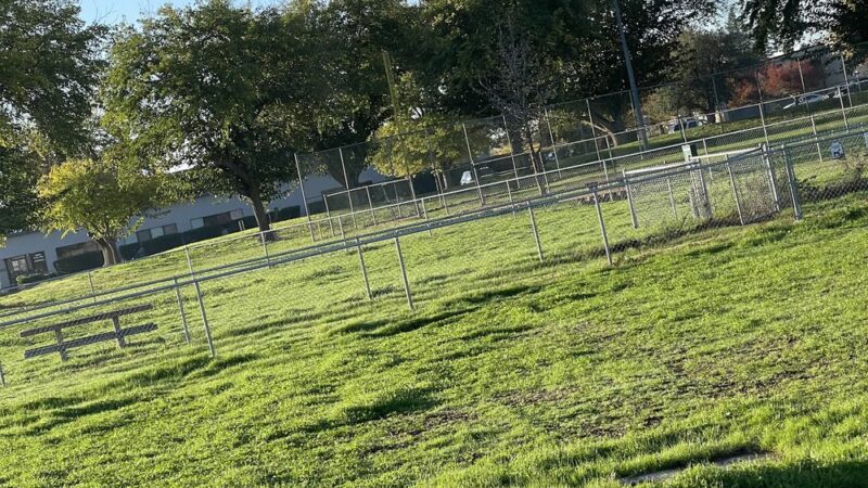 Sher wintle memorial dog park - Red Bluff, CA