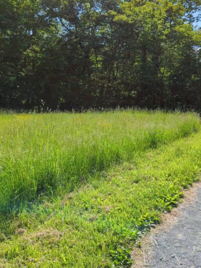 Poets' Walk Park - Red Hook, NY