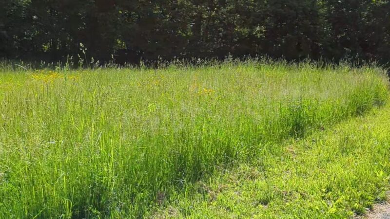 Poets' Walk Park - Red Hook, NY