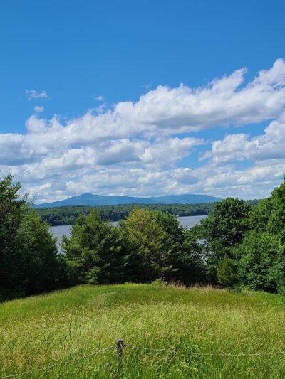Poets' Walk Park - Red Hook, NY