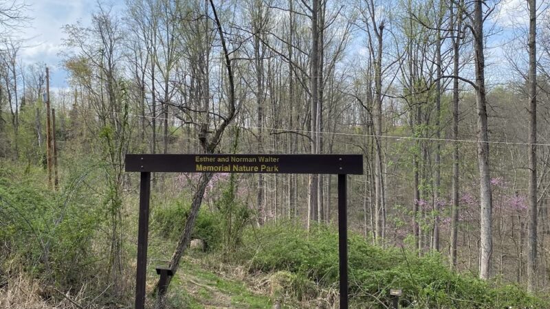 Walter Nature Park - Red House, WV