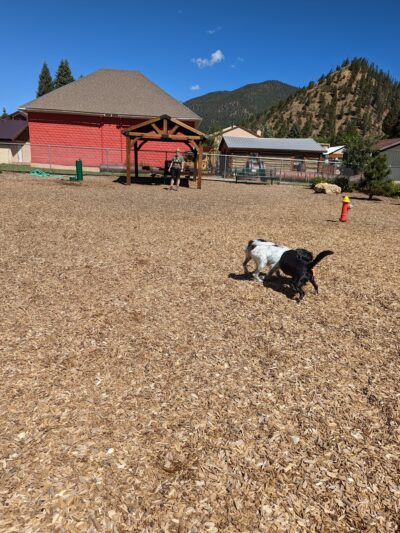Red River Bark Park - Red River, NM