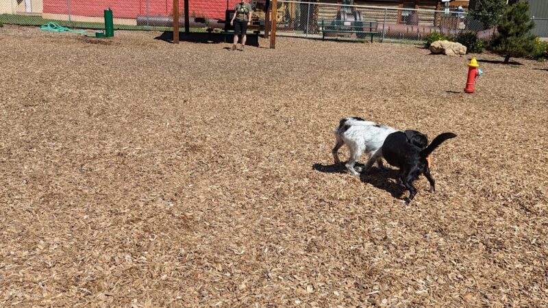 Red River Bark Park - Red River, NM