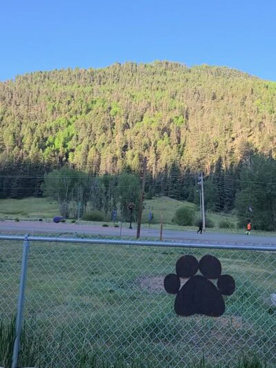 Red River Bark Park - Red River, NM