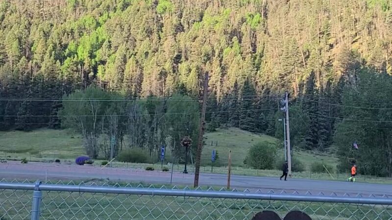 Red River Bark Park - Red River, NM